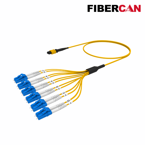 MTP-12LC Cable Assembly
