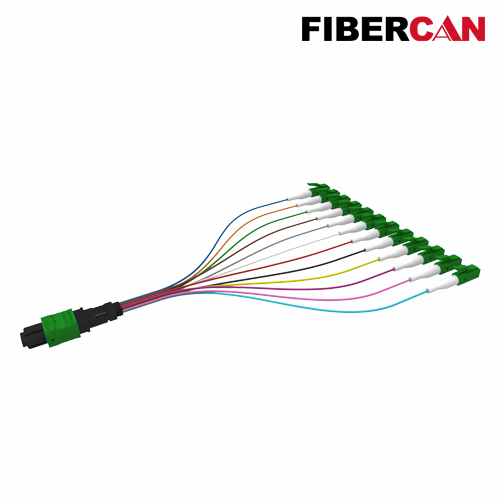 MTP-12*LC Cable Assembly