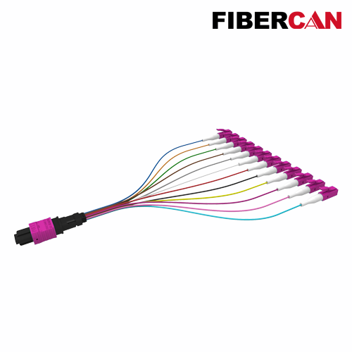 MTP-12*LC Cable Assembly