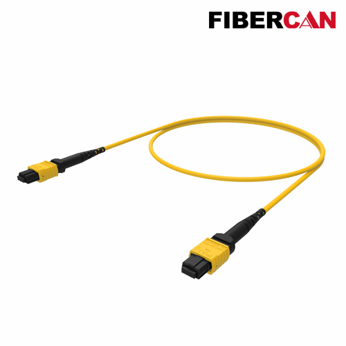 Fiber Optic MTP and MPO Patch Cord
